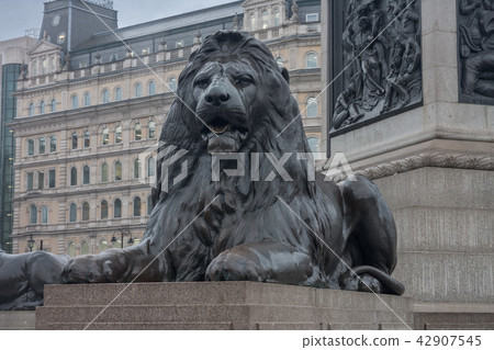 Statue of Lion on Trafalgar Square in London Statue of Lion on Trafalgar Square in London 42907545