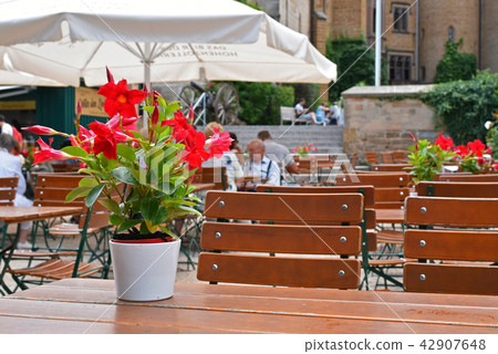 Hohenzollern Castle (Burg Hohenzollern) 42907648