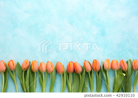 Beautiful flower collection Stock Photo. close up, isolated on background. vertical with copy space. 165 42910110
