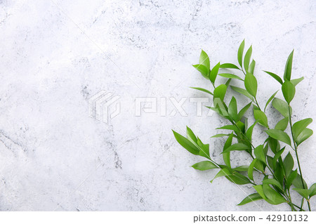 Beautiful flower collection Stock Photo. close up, isolated on background. vertical with copy space. 151 42910132