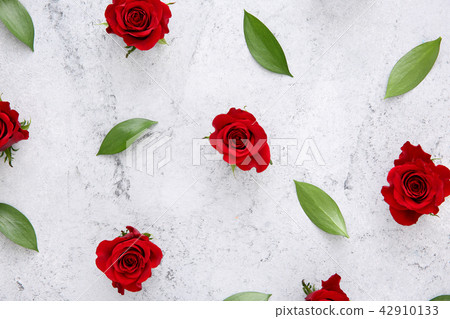 Beautiful flower collection Stock Photo. close up, isolated on background. vertical with copy space. 153 42910133