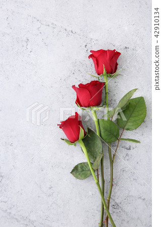 Beautiful flower collection Stock Photo. close up, isolated on background. vertical with copy space. 155 42910134