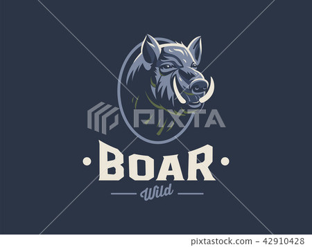 Wild boar with tusks.  42910428