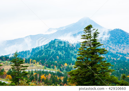 《秋天的志賀高原橫手山 - 偷看紅葉》 《秋天的志賀高原橫手山 - 偷看紅葉》 42910660