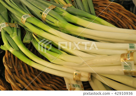Leek 42910936