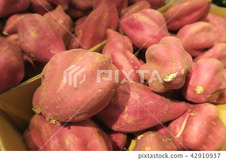 Sweet potato 42910937