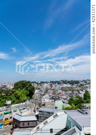 [Kanagawa Prefecture] Urban landscape 42911371