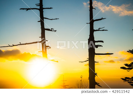 「秋天的志賀高原,清晨的澀嶺 「秋天的志賀高原,清晨的澀嶺 42911542