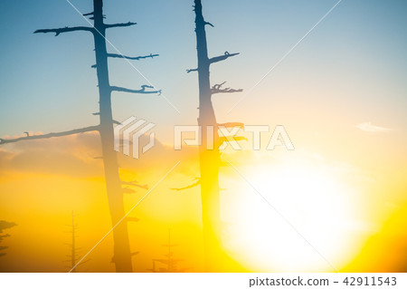 「秋天的志賀高原，清晨的澀嶺 42911543