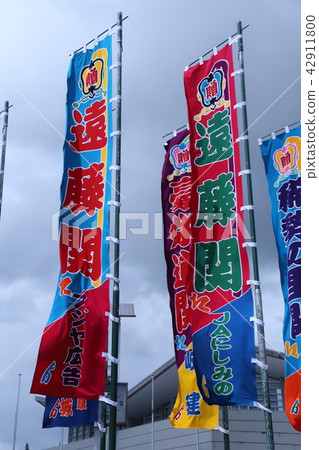 Sumo wrestling rally climbing Sumo wrestling rally climbing 42911800