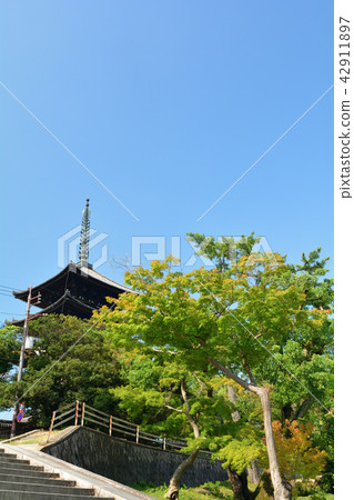 World Heritage · Nara Park 42911897