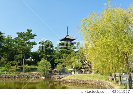 World Heritage · Nara Park World Heritage · Nara Park 42911937