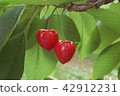Summit cherry 42912231
