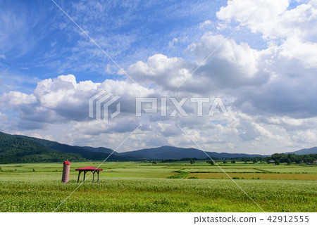 Hokkaido Horokanaicho soba field 42912555