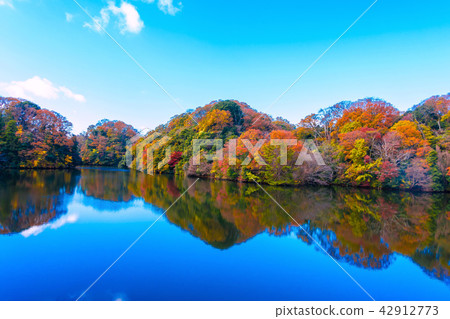 Nukaike公園的秋葉 Nukaike公園的秋葉 42912773