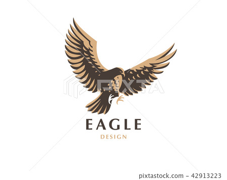 The flying eagle.  42913223