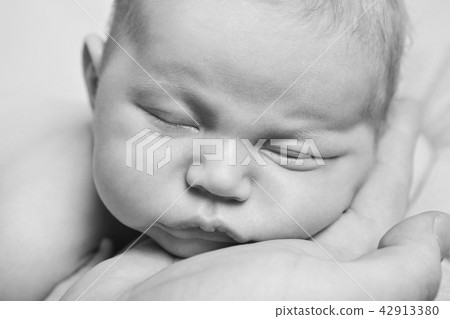 newborn baby lying on the hands of parents 42913380