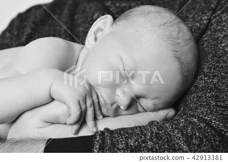 newborn baby lying on the hands of parents 42913381
