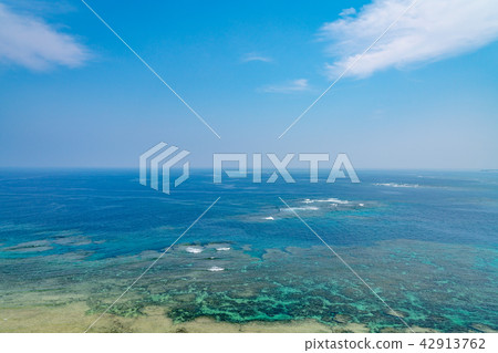 [沖繩縣]熱帶形象 42913762