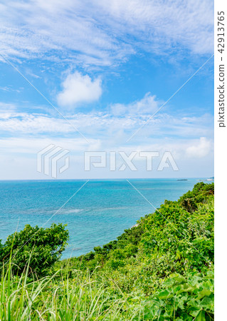 [沖繩縣]熱帶形象 42913765