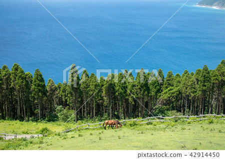 Cape Toki Cape Toki 42914450