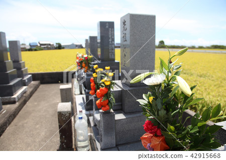 Grave visit Obon tray 42915668