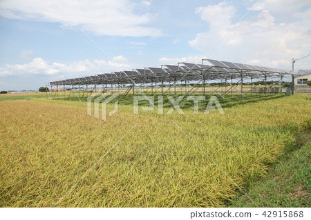 Solar panel _ farming type solar Mie prefecture Kiso Cape Town 42915868