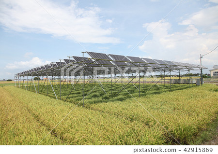 太陽能電池板_農業型太陽能三重縣木曾開普敦 太陽能電池板_農業型太陽能三重縣木曾開普敦 42915869