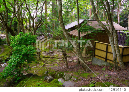 Susukuji in the summer Susukuji in the summer 42916340