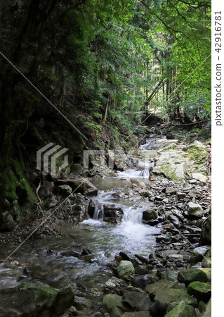 Mountain stream Mountain stream 42916781