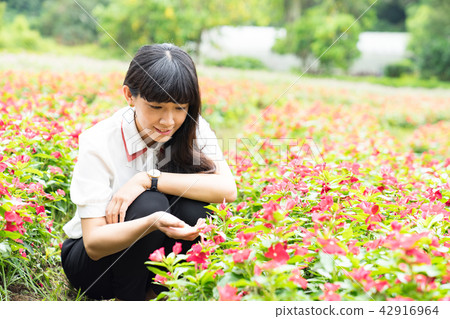 亞洲台灣桃園大溪花海花田人像愛心戀愛感情美女神花卉植物大自然陽光空氣水微笑俏皮氣質浪漫美女肖像人像 亞洲台灣桃園大溪花海花田人像愛心戀愛感情美女神花卉植物大自然陽光空氣水微笑俏皮氣質浪漫美女肖像人像 42916964
