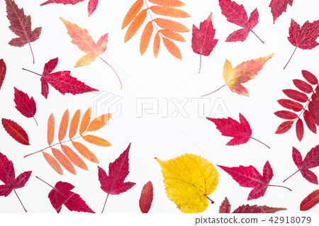 Multicolored autumn leaves frame. Hello, Autumn 42918079