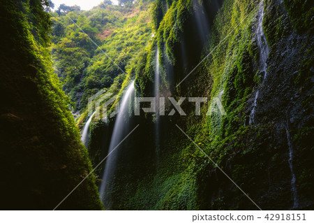 Beautiful scene of Madakaripura waterfall 42918151