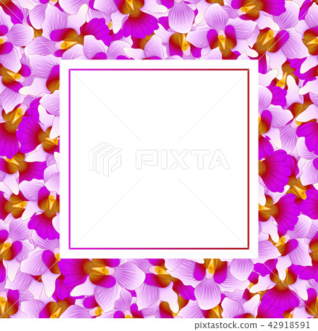 Purple Vanda Miss Joaquim Orchid Banner Card Purple Vanda Miss Joaquim Orchid Banner Card 42918591