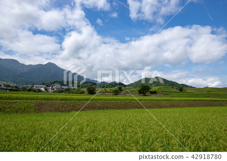 鄉村景觀(愛媛縣東急市) 鄉村景觀(愛媛縣東急市) 42918780