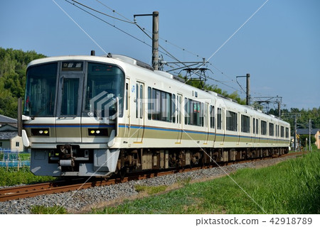 運行奈良線的221系列普通四車 42918789