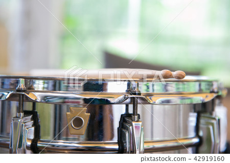 Snare and bee 42919160