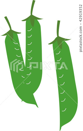 豌豆 42919352