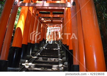 伏見稻荷神社Torii Torii 伏見稻荷神社Torii Torii 42919608