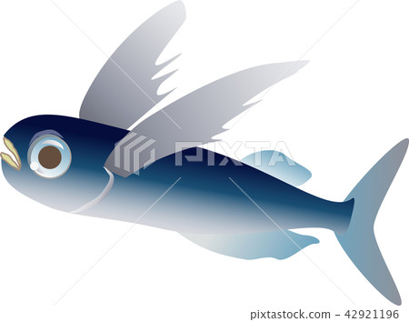 Flying fish 42921196