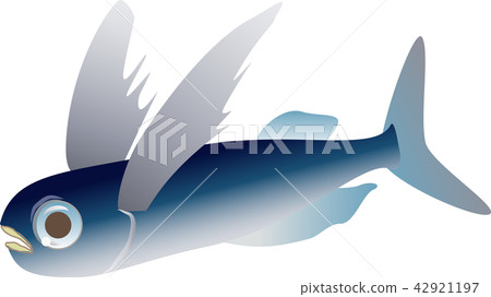 Flying fish 42921197