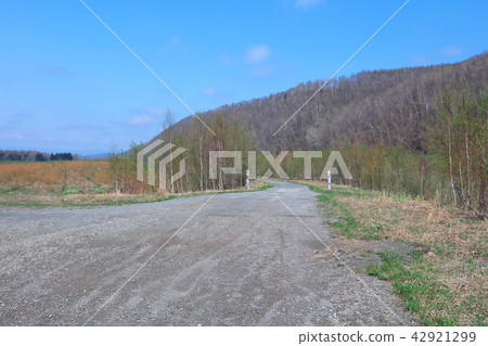 at Shirogane Blue Pond nature view 42921299