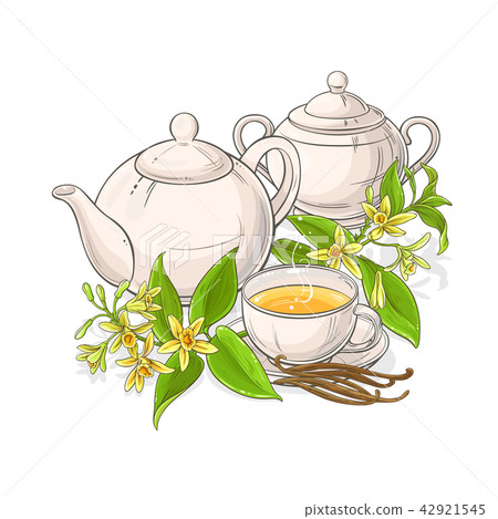 vanilla tea illustration vanilla tea illustration 42921545