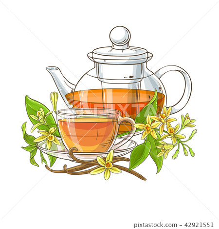 vanilla tea illustration vanilla tea illustration 42921551