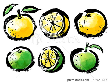 刷塗柑橘 42921614