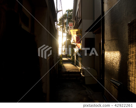 江之島胡同回來了 江之島胡同回來了 42922261