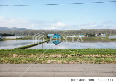 train view of Furano Line Hokkaido at japan train view of Furano Line Hokkaido at japan 42922354