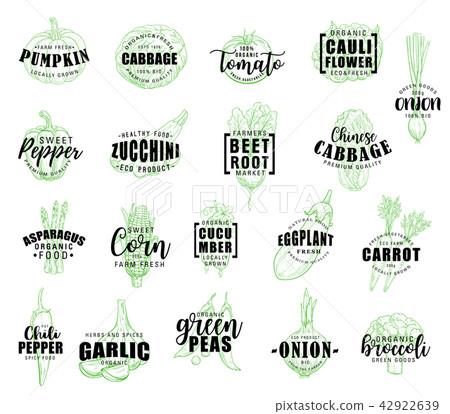 Vegetable hand drawn lettering with veggies sketch 42922639