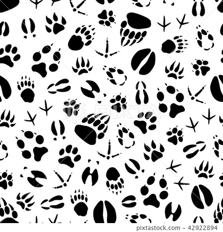 Animal and bird track seamless pattern background Animal and bird track seamless pattern background 42922894