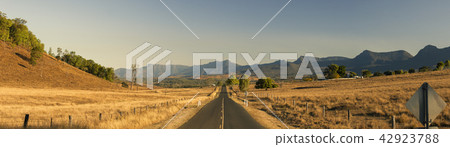 View of the countryside in Tarome, The Scenic Rim. 42923788